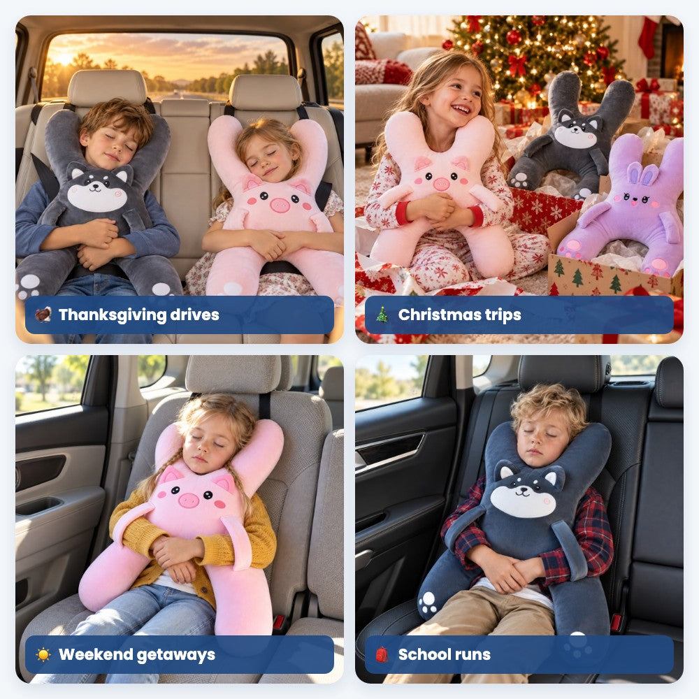 Maado Road Trip Pillow on every trip